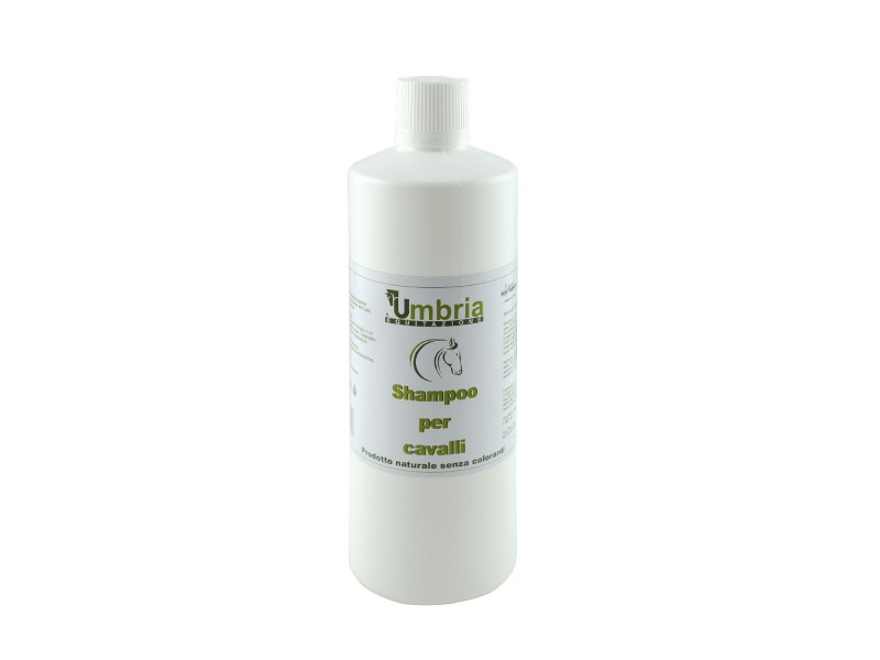 AMA SHAMPOO (1 LT)