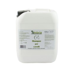 AMA SHAMPOO (5 LT)