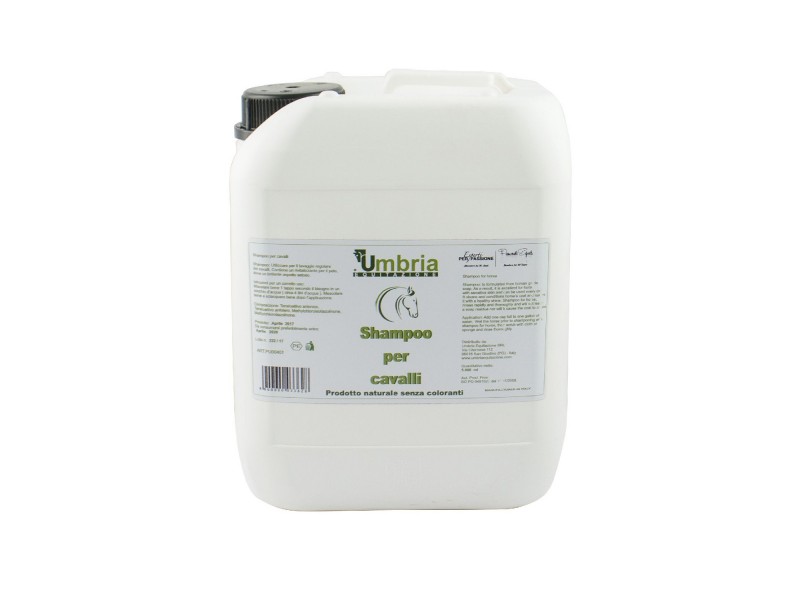 AMA SHAMPOO (5 LT)