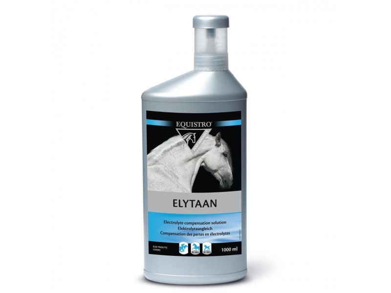 Elytaan