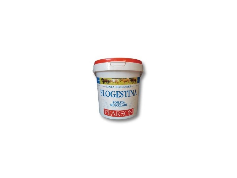 Flogestina pearson pomata muscolare gr. 1500