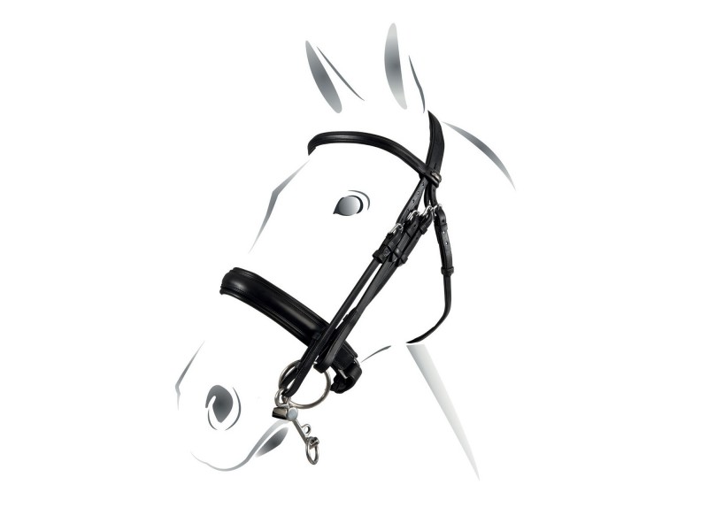 BRIGLIA EQUESTRO MODELLO EVOLUTION BRIGLIA EQUESTRO MODELLO EVOLUTION