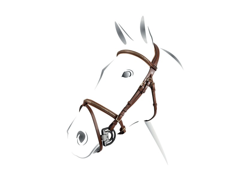 TESTIERA EQUESTRO MODELLO CLINCHER