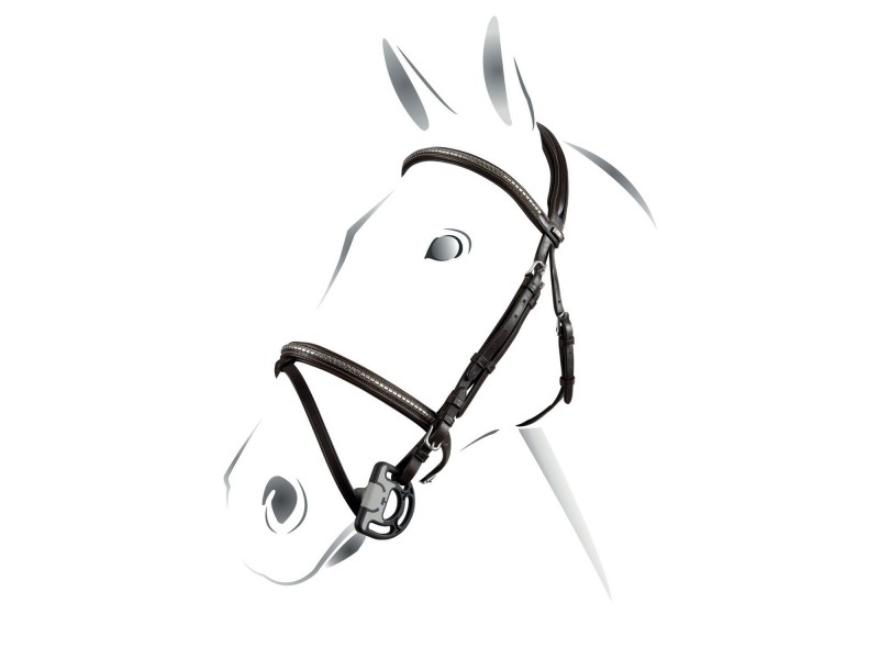 TESTIERA EQUESTRO MODELLO CLINCHER NP