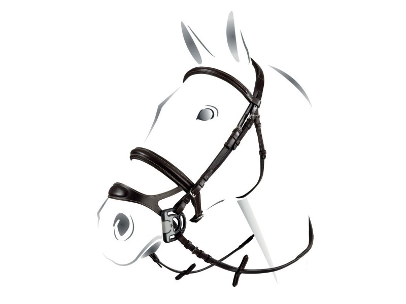TESTIERA EQUESTRO MODELLO COMBINED