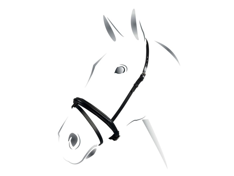 CAVEZZINA CHIUDIBOCCA EQUESTRO CAVEZZINA CHIUDIBOCCA EQUESTRO