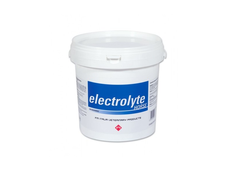 ELECTROLYTE HORSE