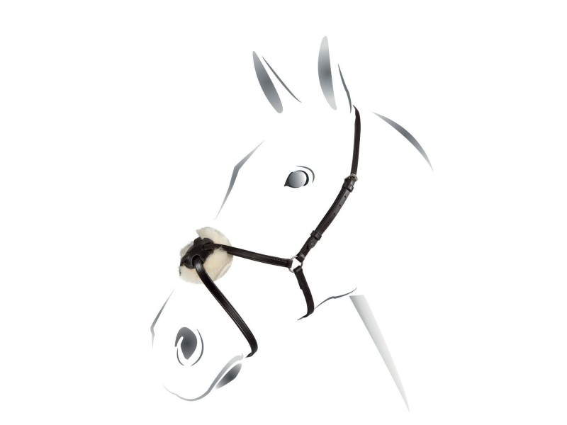 CAVEZZINA MESSICANA EQUESTRO CON CHIUDIBOCCA IN CUOIO