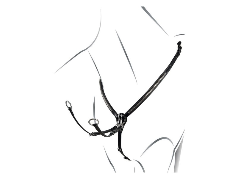 PETTORALE EQUESTRO MODELLO SILVER CLINCHER PETTORALE EQUESTRO MODELLO SILVER CLINCHER