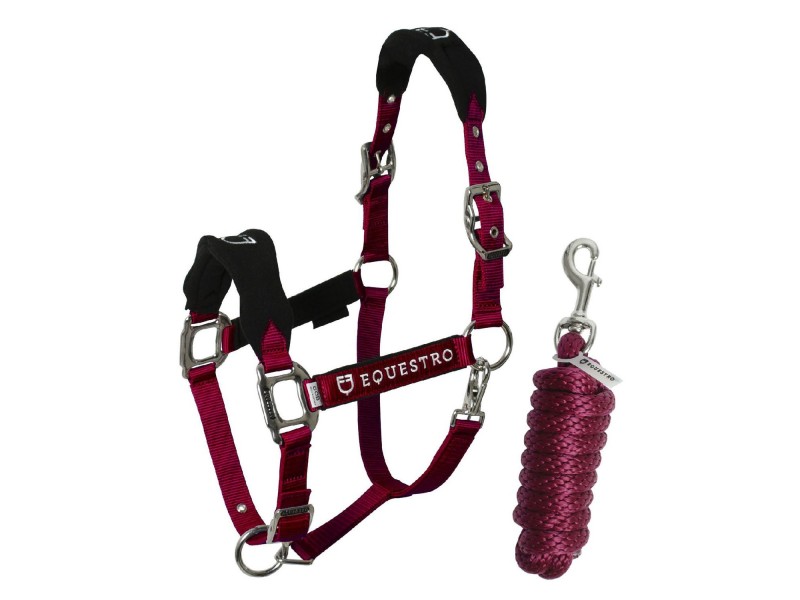 CAVEZZA EQUESTRO IN PILE SAGOMATO CON LUNGHINA CAVEZZA EQUESTRO IN PILE SAGOMATO CON LUNGHINA