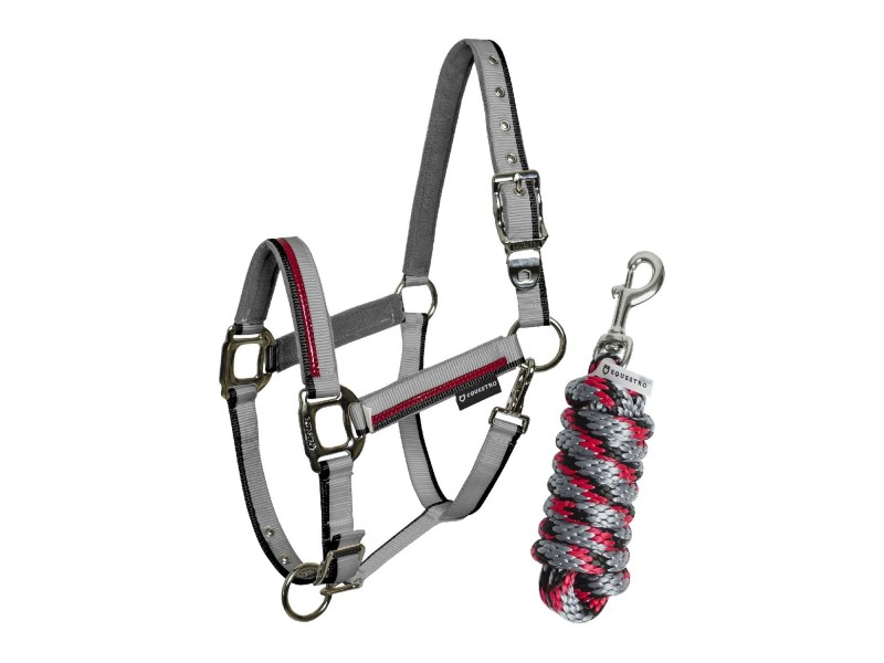 CAVEZZA EQUESTRO MODELLO RED TRIM CON LUNGHINA CAVEZZA EQUESTRO MODELLO RED TRIM CON LUNGHINA