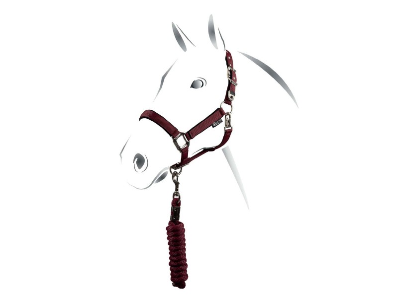 CAVEZZA EQUESTRO MODELLO SHINY FITTINGS CON LUNGHINA CAVEZZA EQUESTRO MODELLO SHINY FITTINGS CON LUNGHINA